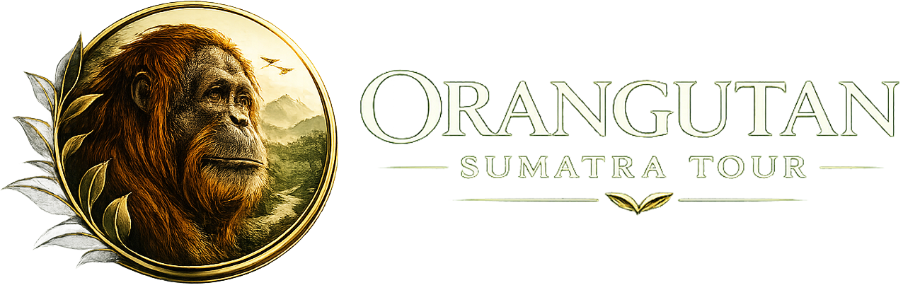 orangutan-sumatra-tour-lg